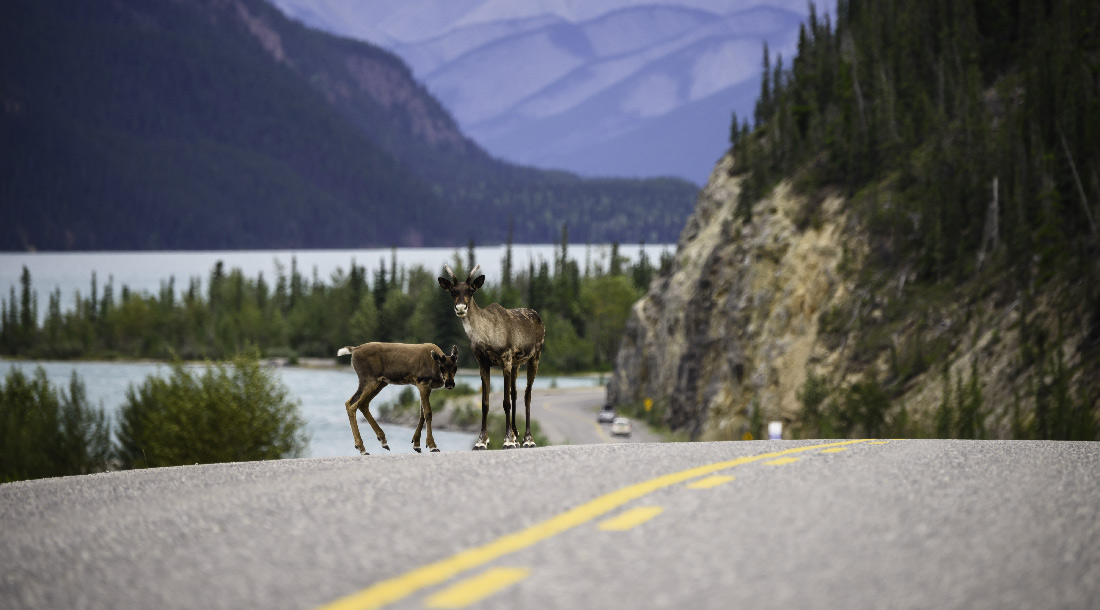 Alaska Highway