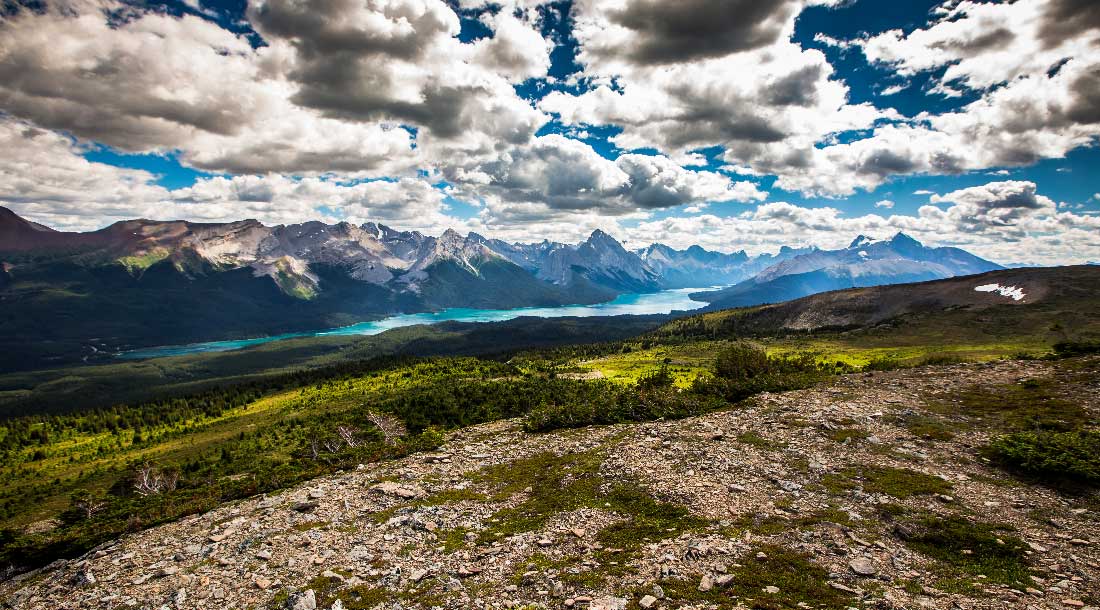 Lac Maligne | Jasper National Park 