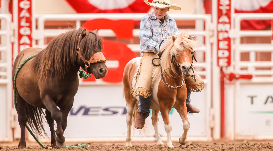 Calgary Stampede en famille