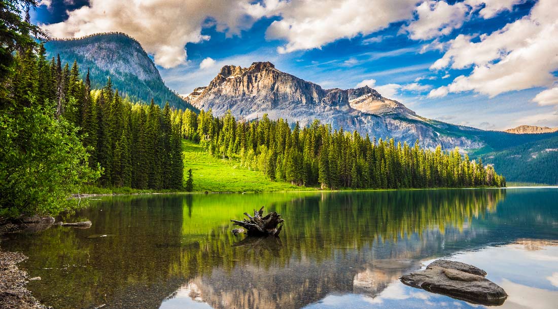 Emerald Lake | Yoho National Park 