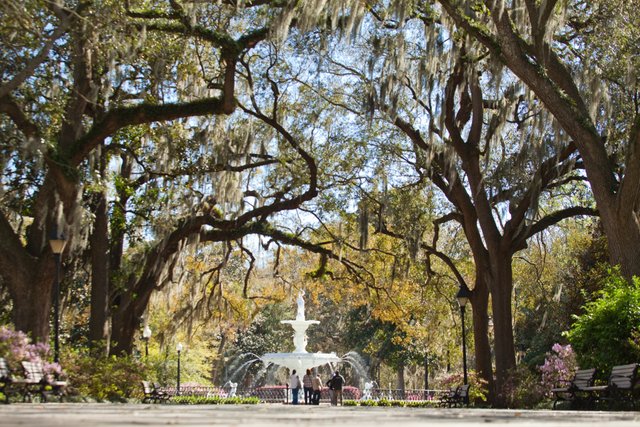 Forsyth Park Savannah